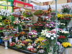 28178 Flowers at market.jpg